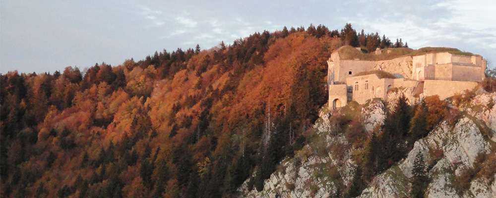 type de projets, forts militaires